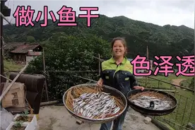 小曾钓的蓝刀鱼太多了拿来做小鱼干，小火慢烤，步骤简单易学视频封面
