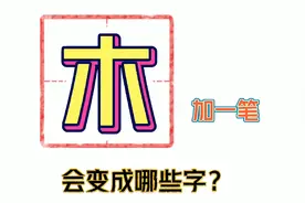 神奇的汉字:"木"字加一笔后，竟然变成这六个字！你能猜到吗？视频封面