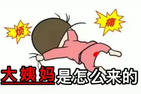 女生为什么会来大姨妈？神奇过程，真的涨知识了视频封面