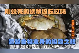 软壳蟹你吃过吗？真正超越食物本身的极致之鲜视频封面
