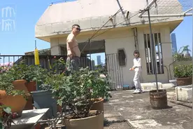 楼顶晒太阳视频封面