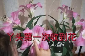 丫头第一次收到花，下班回家看到花全开了满屋香气，兴奋不已视频封面