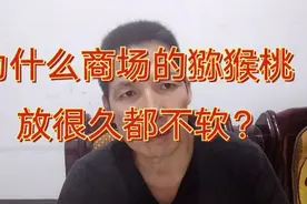 为什么在商场买猕猴桃放很久都不软？今天老魏回答你视频封面