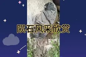 价值过100000000元的陨石你见过吗？快快收藏点赞吧！视频封面