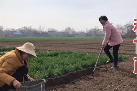 河南气候适合种甘蔗吗？母女俩先整一根种上试试，种法超级简单视频封面