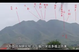 后脑勺突出多祖上厉害