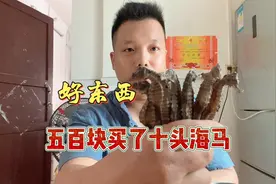 五百块买了十头海马，这东西拿来炒着吃还是拿来煮汤呢，给个建议