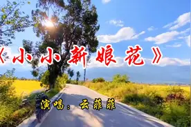 云菲菲一首《小小新娘花》熟悉的旋律，是否勾起你的童年回忆视频封面