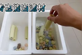 用最少的钱买性价比最高的滤材，鱼缸过滤滤材的摆放也有讲究视频封面