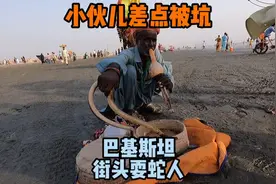 巴基斯坦耍蛇人，表演一次100卢比3rmb，小伙儿竟然差点儿被坑视频封面