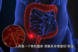 丹道修炼中，“上丹田”和“下丹田”之间的秘密！视频封面