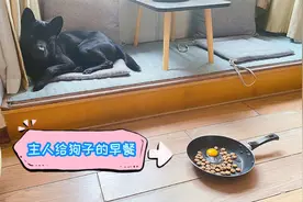 狗狗特别爱吃蛋黄，主人直接拿生鸡蛋给它吃，看看会发生什么视频封面