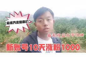 新账号10天涨粉1000，每天收益大于10块，总结方法和经验给你们