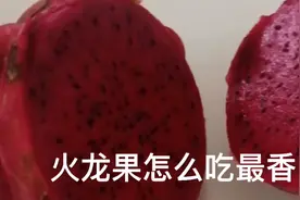 每天都要吃水果哟！视频封面