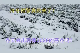 冷冬预警真的来了？冬天会出现像2008的寒冬吗？早看早知道