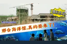 投资约10亿！邢台海洋馆雏形显现，3个话题引热议，票价100贵吗视频封面