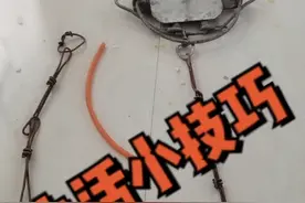 老鼠夹捕鼠器制作视频教程视频封面