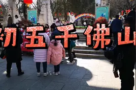 千佛山，大年初五，腊梅报春庆虎年，今年又是个好年景风条雨顺。视频封面
