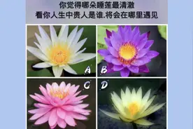 心理测试：哪朵睡莲最清澈，测会在哪里遇见你的贵人视频封面