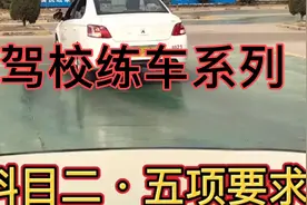 驾校练车系列，科目二•五项要求视频封面