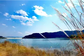 年少的我们，曾以为相爱的人就能到永远，但多少爱恋只能遥遥相望视频封面