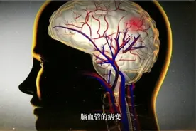 地龙的药用价值与功效