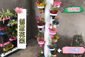 创意花架，一根PVC管，几个饮料瓶，让小花小草小多肉住上高层视频封面
