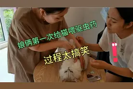 娘俩第一次给猫喂驱虫药，过程太搞笑！视频封面