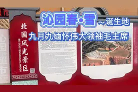 沁园春•雪的诞生地，陕北榆林地区清涧县袁家沟村，1936年2月视频封面