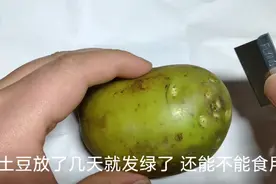 发绿的土豆皮削掉，能食用吗？我们一起来看看吧视频封面
