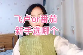 飞卢or番茄？小说新手选哪个？