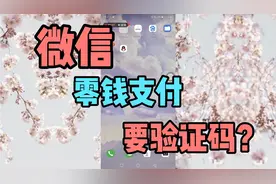 挑战解决微信零钱支付需要验证码问题！视频封面