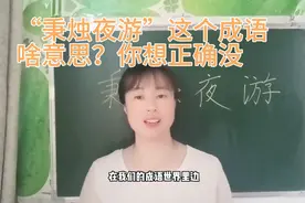 “秉烛夜游”这个成语的意思只从字面上理解远远不够，是什么意思视频封面