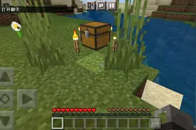 寻找我的世界国际服好友