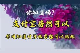 你知道吗？支付宝居然可以不用知道对方账号也可以转账视频封面