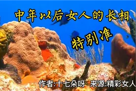 中年以后女人的长相，是心决定的，余生，试着做个“自私”的女人视频封面