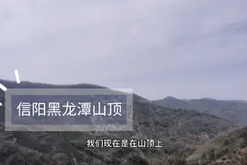 从福建到河南，河南信阳黑龙潭茶山一日游！品鉴正宗信阳毛尖！视频封面