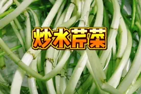 水芹菜也是一种野生芹菜，一般吃它的茎，将长长的茎切成1寸长视频封面