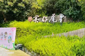 牢记全身疾病特效穴位视频封面