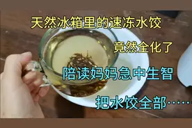 天然冰箱里的速冻水饺竟然全化了！我急中生智，把水饺全部……视频封面