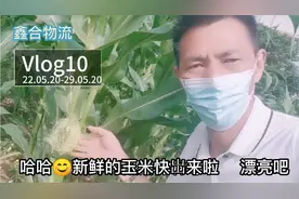 5月的季节到处都是鸟语花香，一片绿色让人深感新鲜舒适。视频封面