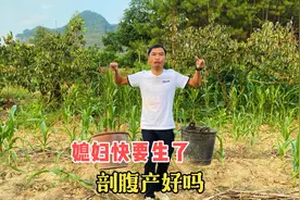 媳妇快要生了，炮哥好担心，到底是剖腹产好还是顺产好，好纠结视频封面