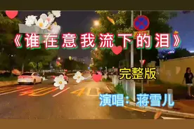 《谁在意我流下的泪》（完整版）演唱：蒋雪儿  岁月匆匆像一阵风视频封面