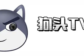 【架空】狗头电视台32套ID集