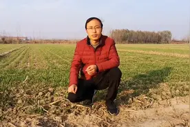 冬小麦还没播种的有福了，每亩补贴150元，看看有你吗？视频封面