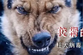 狂犬病毒致死率99.9%！被疯狗咬后，6年不发作是侥幸逃过一劫吗？视频封面