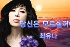 당신은 모르실꺼야 (你不知道)比较伤感而又动听的歌曲 中韩双字视频封面