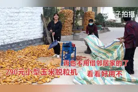 英子花290元买玉米脱粒机，看看好用不?说再也不借邻居家的了