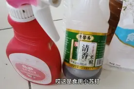 制作杀虫剂防止蚜虫，用小苏打兑水加上醋，杀虫效果杠杠的。