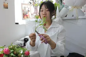 小玖凤一招辨别芍药和牡丹，比花期和花头简单的多~小朋友放假了~